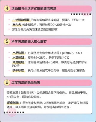 给狗狗洗澡多少钱，给狗洗澡费用？