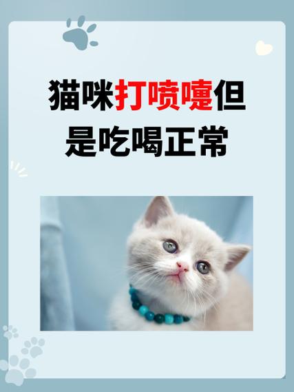 猫流鼻涕流眼泪打喷嚏怎么回事