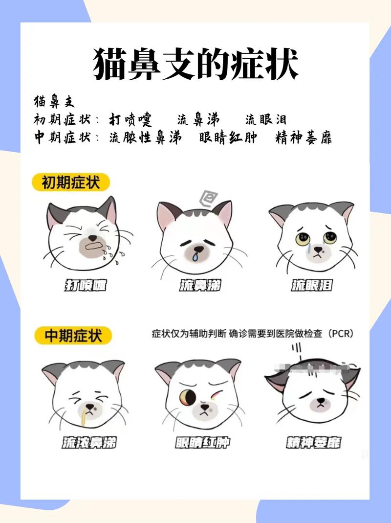 小猫打喷嚏流眼泪怎么回事
