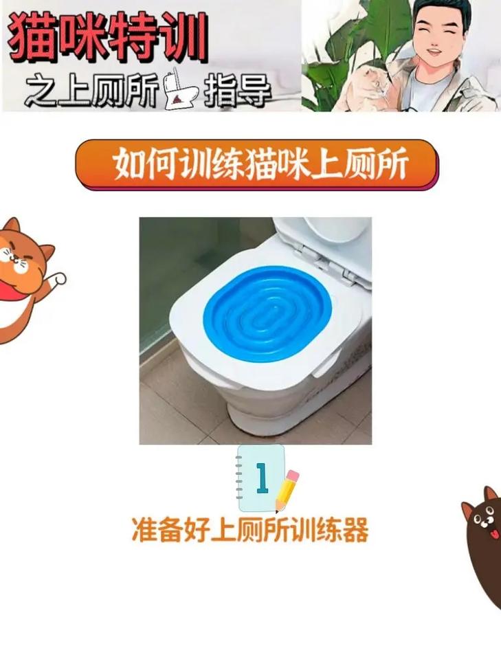 如何教小猫在固定地方大小便