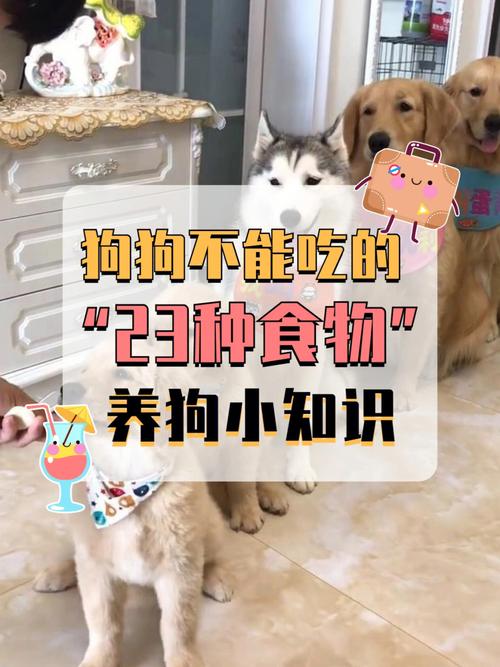 狗狗能吃韭菜饺子吗?