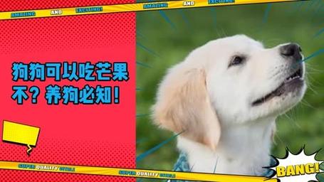 狗狗能吃芒果干吗?