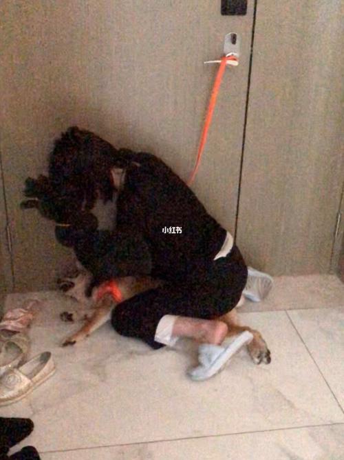 狗护食咬主人怎么办