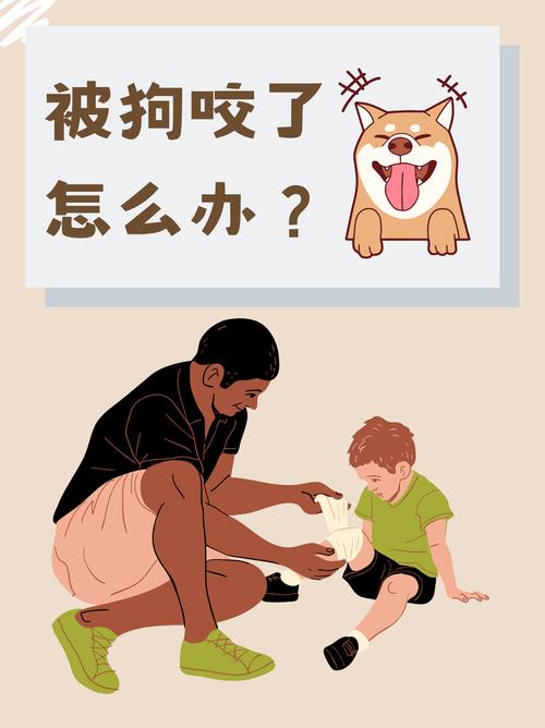 狗护食咬人怎么解决
