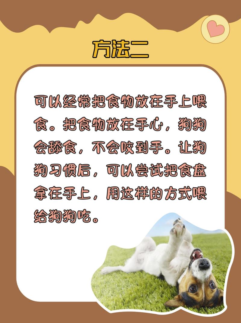 狗狗护食咬主人怎么办