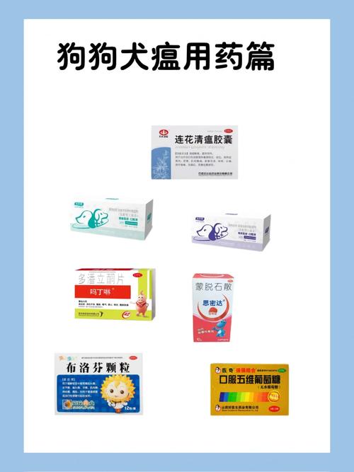 狗瘟吃什么药最有效?(狗狗得了犬瘟吃什么药)