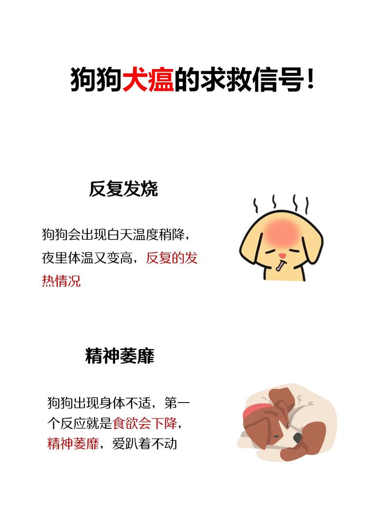 小狗得了犬瘟热怎么办?