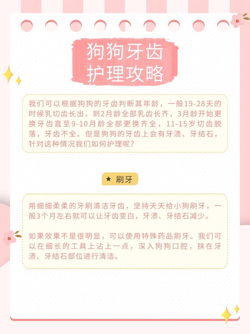 怎么给狗清洁牙齿