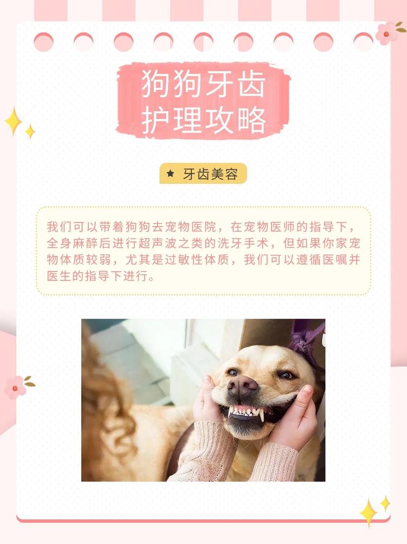 狗牙齿怎么护理