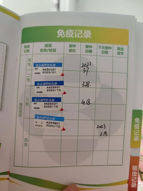 狗狗发烧打什么针剂