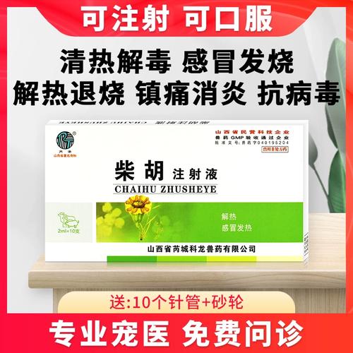 宠物狗感冒发烧打什么针好