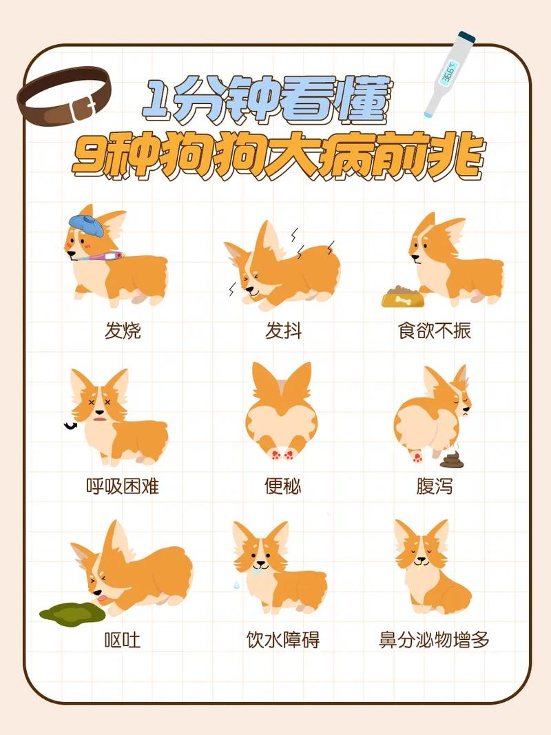 狗狗发烧打什么针