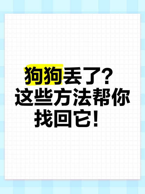 我的狗狗丢了,怎么才能找回来?