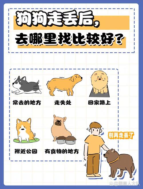 狗丢失了最有效方法找回来