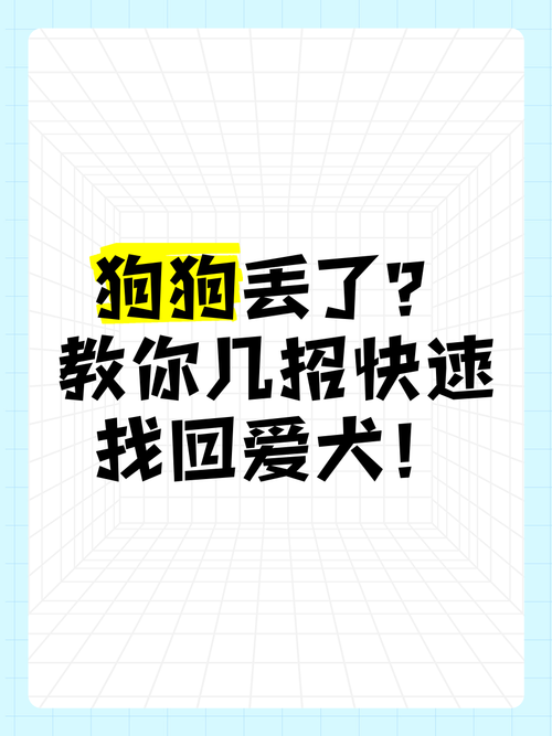 狗狗走丢了怎么办推荐几种找狗方法