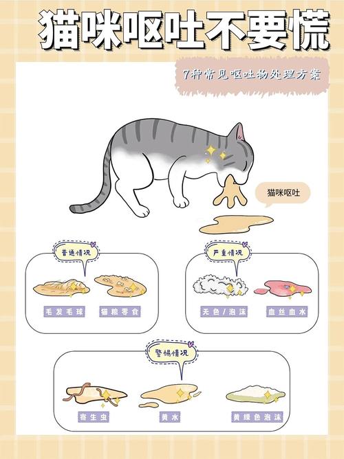 猫咪吃完东西马上吐