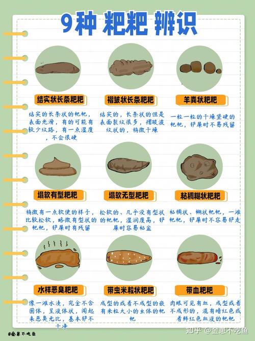 小猫吃罐头软便正常吗