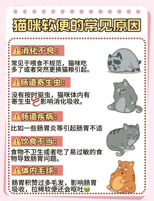 为什么猫吃罐头软便