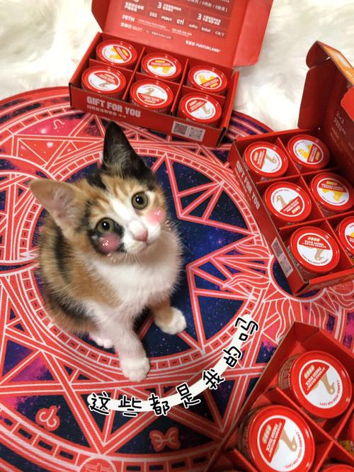 猫咪脖子处有一个红色疙瘩是怎么回事?