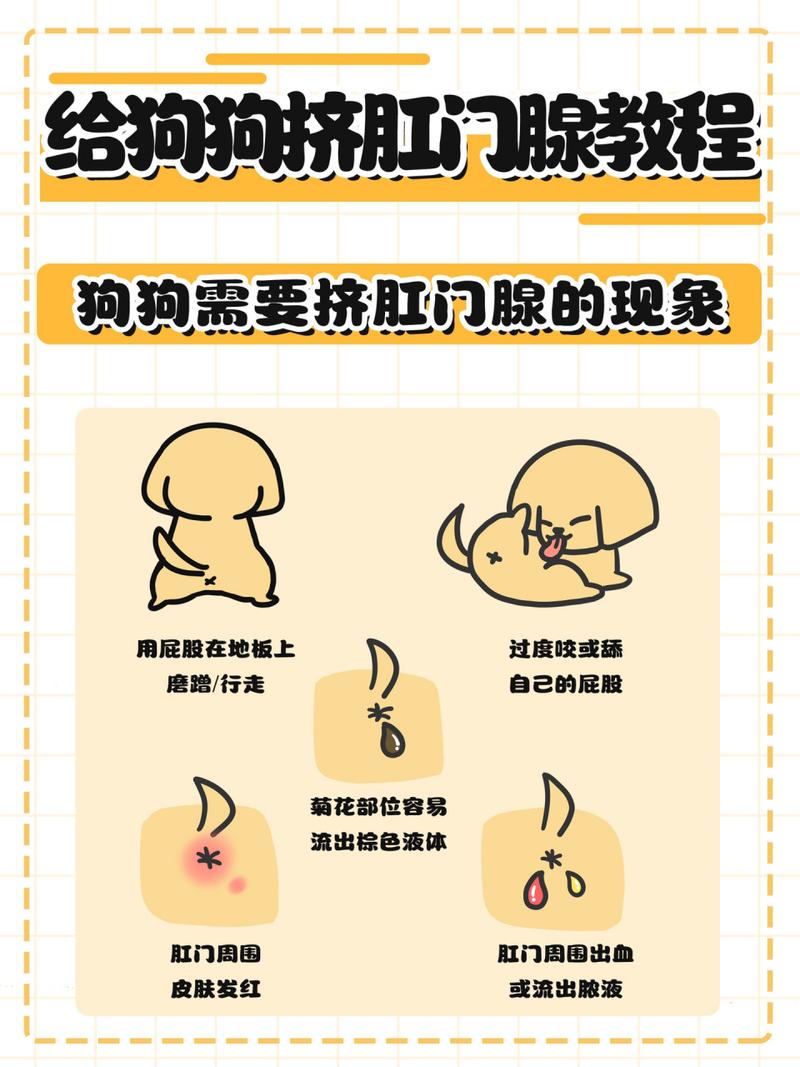 狗狗怎么挤肛门腺