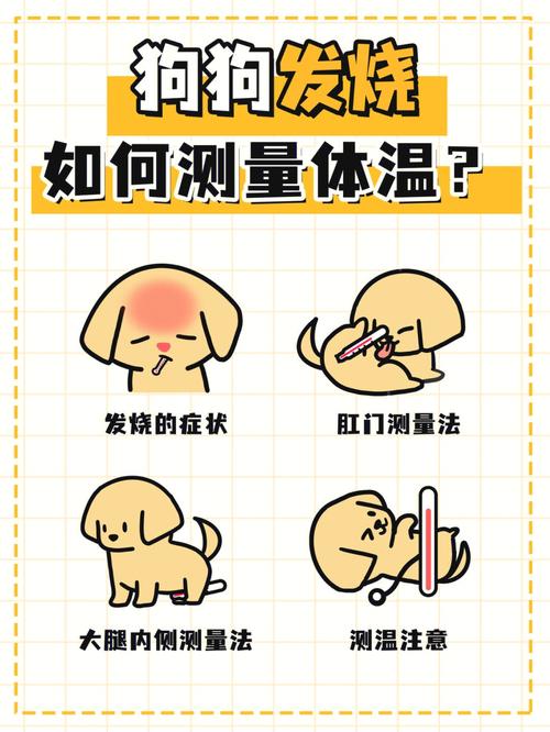 狗狗发烧怎么办?