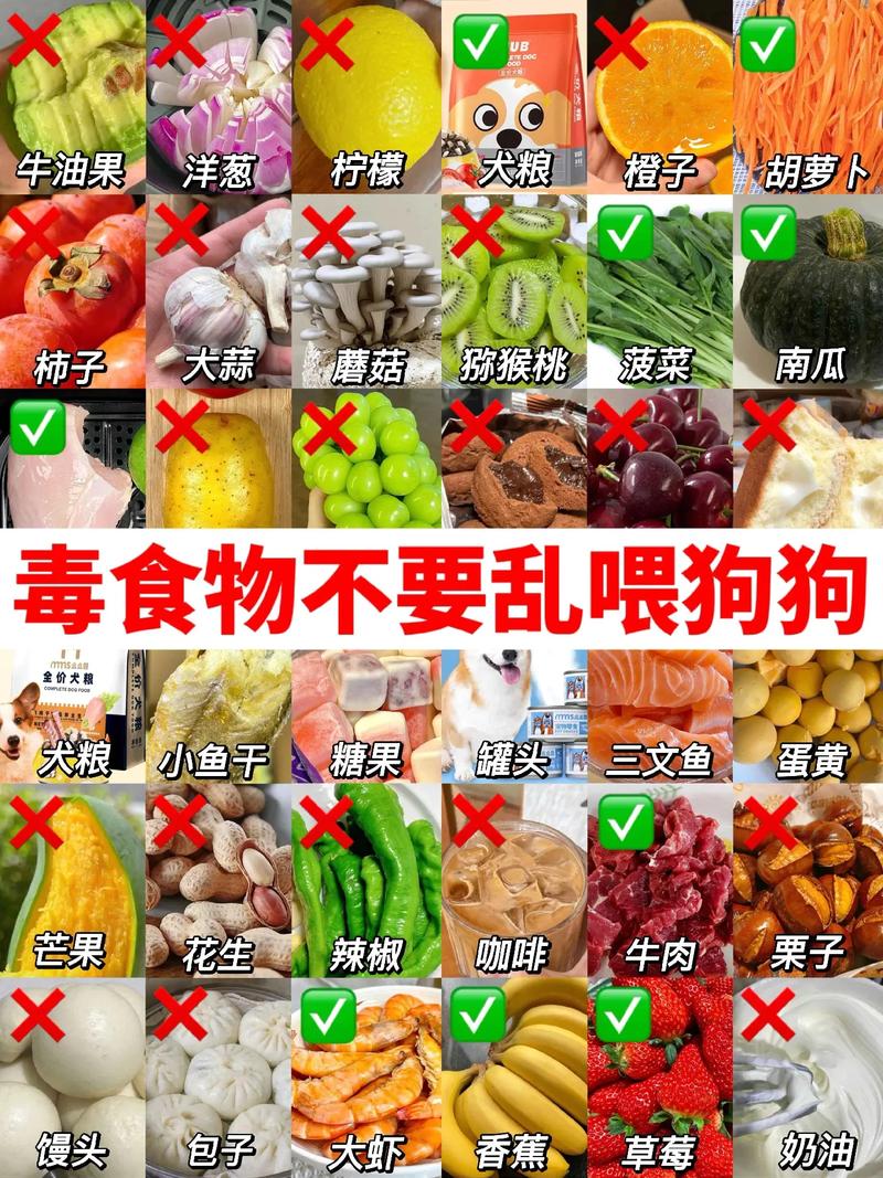 狗狗误食了蒜末怎么办?