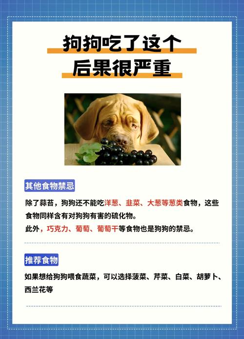 八哥犬吃蒜了怎么办