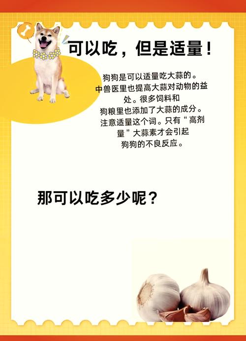 狗吃了大蒜怎么解毒?