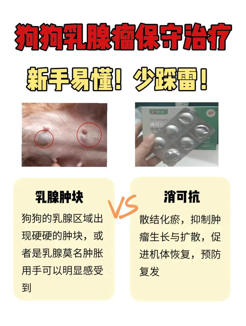 狗狗得了乳腺瘤怎么办,要不要切除啊?