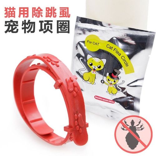 猫咪为什么要带除蚤项圈