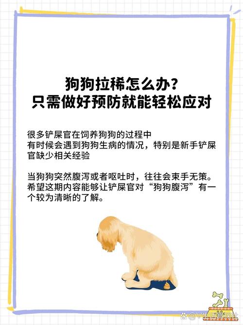 狗狗拉肚子怎么办啊?