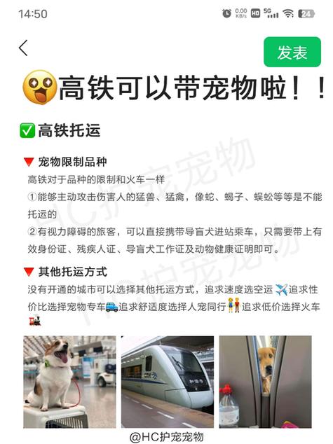 火车可以带猫吗放包里