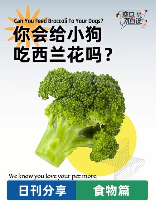 为什么给狗狗吃西兰花