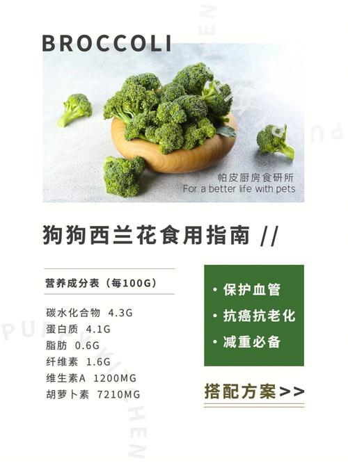 狗吃西兰花的好处和坏处