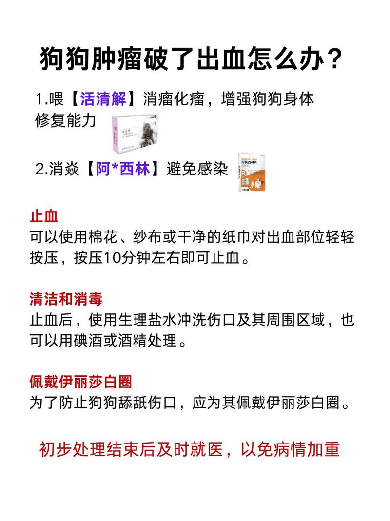 狗狗为什么要用酒精擦