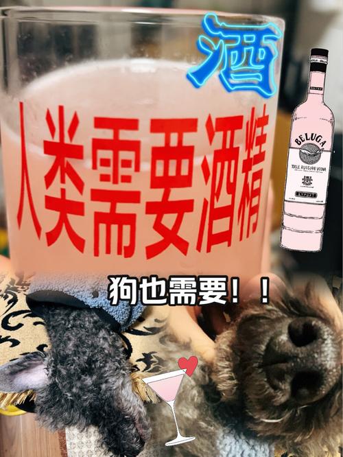 狗狗身体可以用酒精消毒吗
