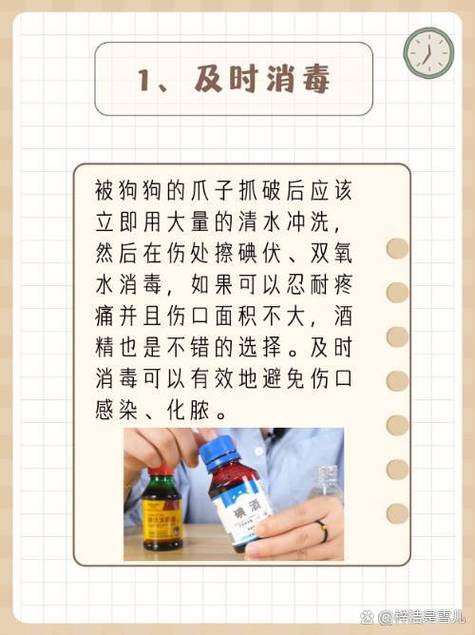 狗可以使用酒精消毒吗