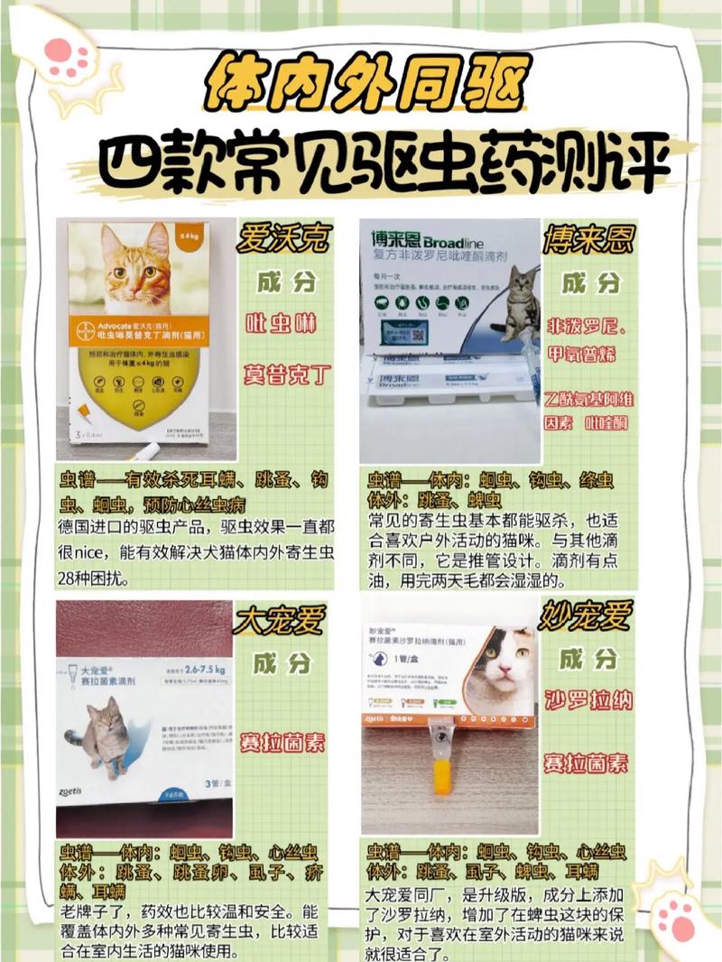 猫咪体外驱虫药的使用方法有哪些?