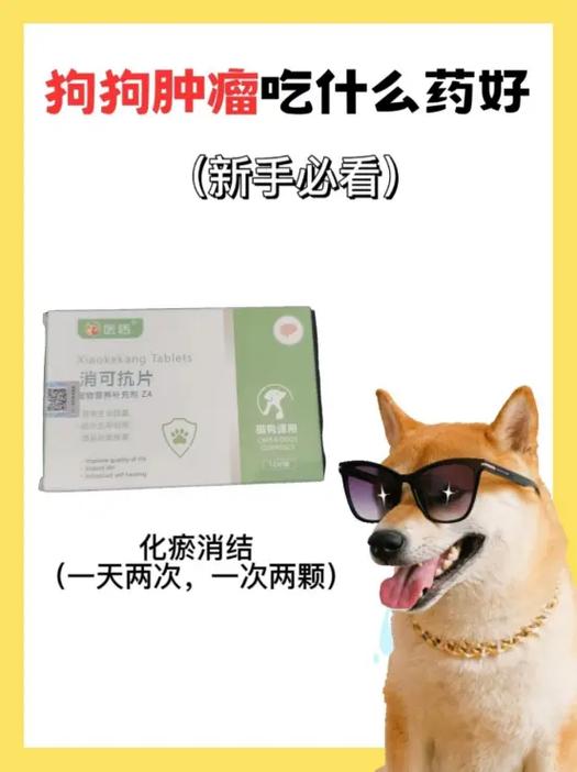 狗狗能吃的消炎药有哪些
