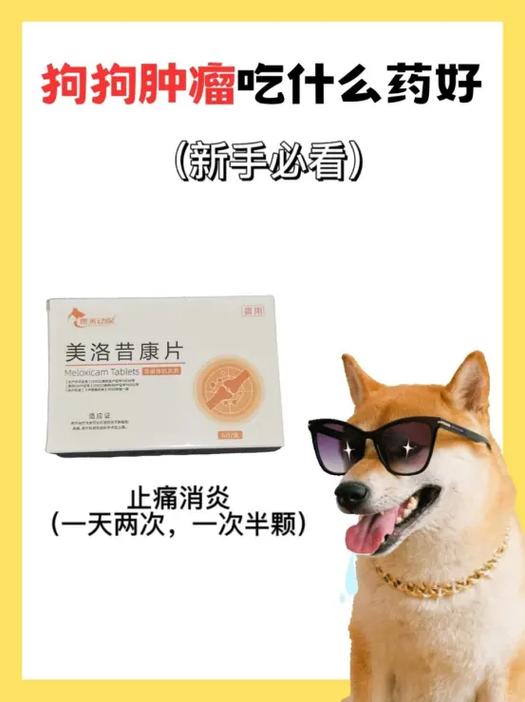 小狗可以吃什么消炎药