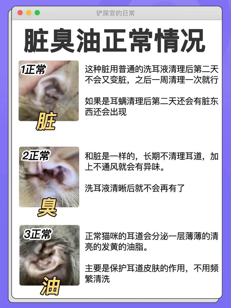 小猫咪有耳螨怎么办用什么药