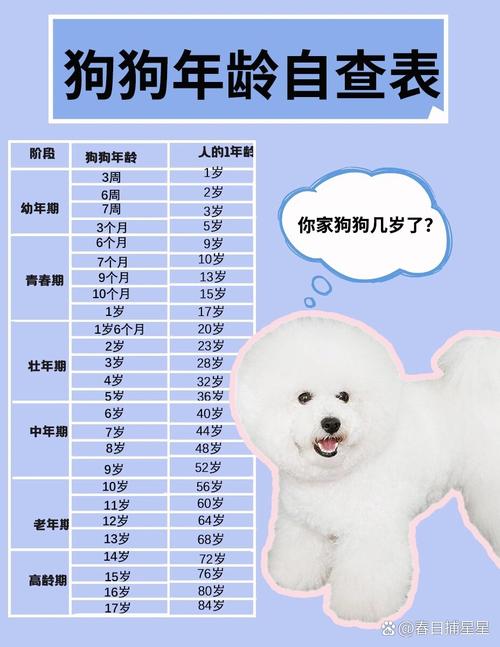 请问泰迪犬到几个月时定型不长个了?