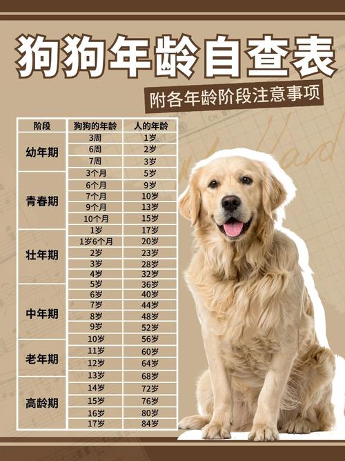 狗狗几个月不再长个了