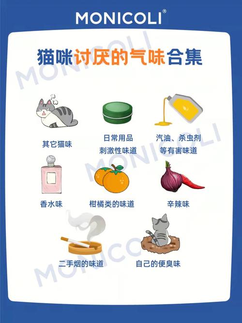 猫会怕什么味道