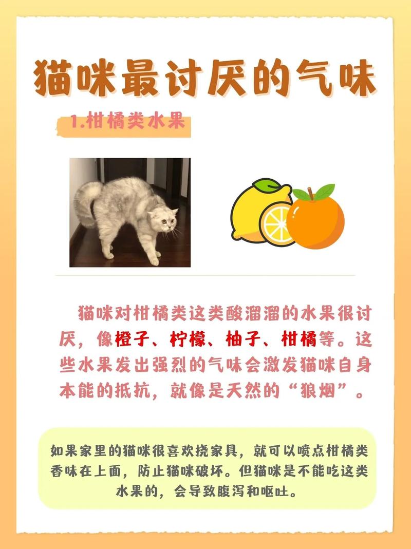 哪些味道可以赶走猫咪?
