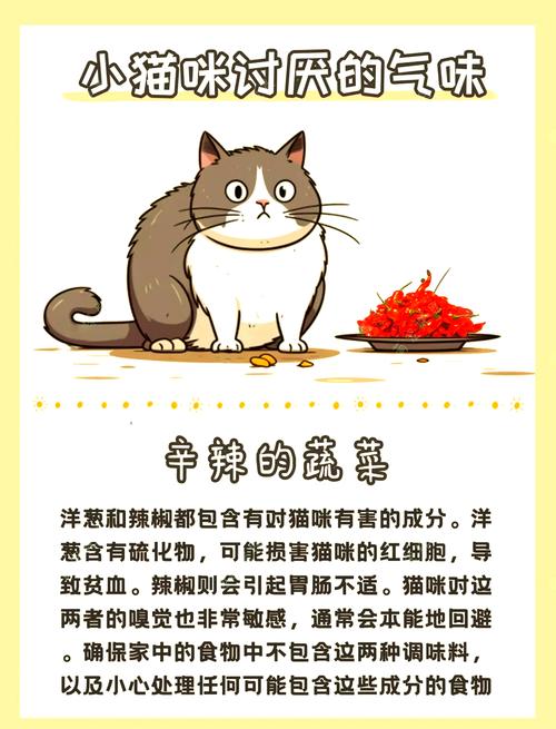 猫最讨厌什么东西或者味道?