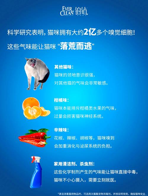 猫咪不喜欢的味道有哪些啊?