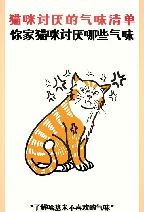 猫最怕什么味道能赶走它