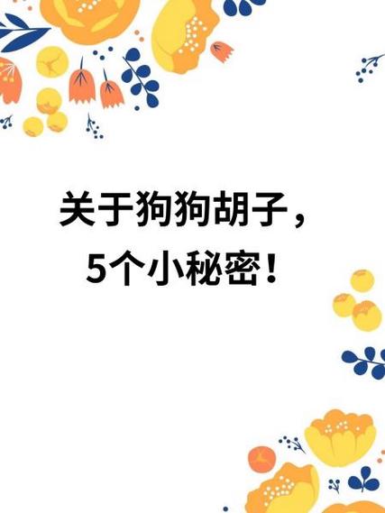 关于狗狗胡子,5个小秘密!