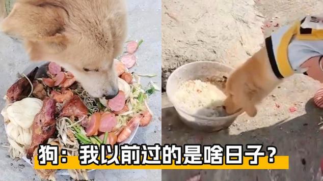 我的狗狗有癫痫,吃癫安舒有什么副作用么吃?